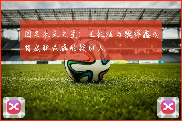 国足未来之星：王钰栋与魏祥鑫或将成新武磊的接班人